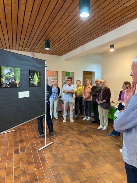Ausstellungseröffnung "Schöpfung im Focus, Bildmotiv mit Karde im Vordergrund, Teilnehmerinnen und Teilnehmer der Vernissage